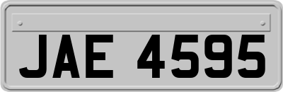 JAE4595