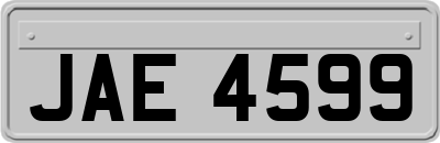 JAE4599