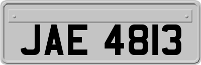 JAE4813