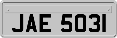 JAE5031