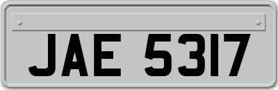 JAE5317