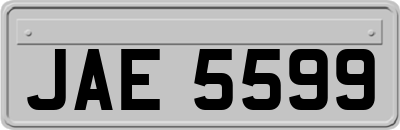JAE5599