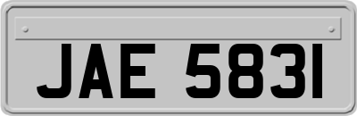 JAE5831