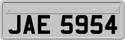 JAE5954
