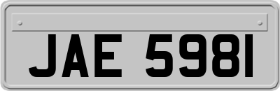 JAE5981