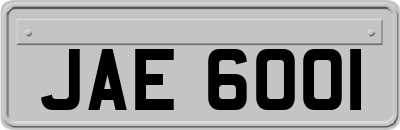 JAE6001