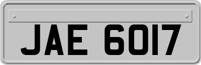 JAE6017