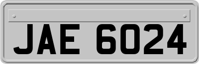 JAE6024