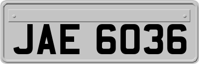 JAE6036