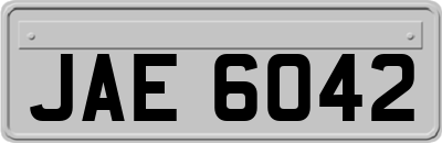 JAE6042