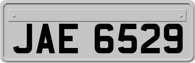 JAE6529