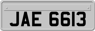 JAE6613