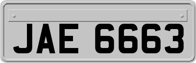JAE6663