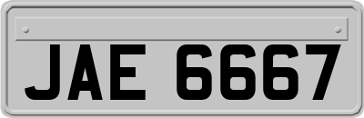 JAE6667