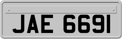 JAE6691