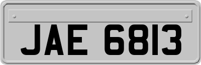 JAE6813