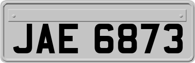 JAE6873