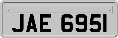 JAE6951