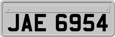 JAE6954