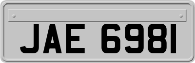 JAE6981