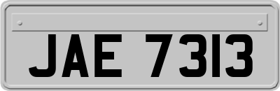 JAE7313
