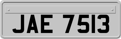 JAE7513