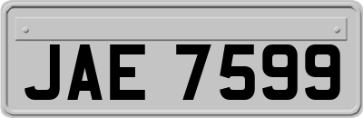 JAE7599