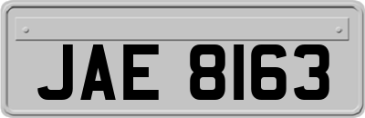 JAE8163
