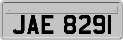 JAE8291