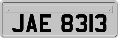JAE8313