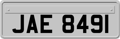 JAE8491