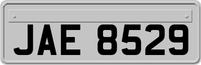 JAE8529