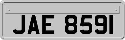 JAE8591