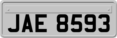 JAE8593