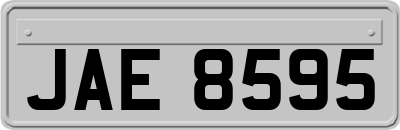 JAE8595
