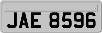 JAE8596