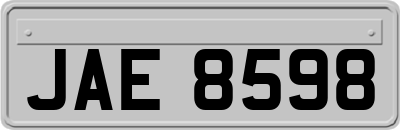 JAE8598