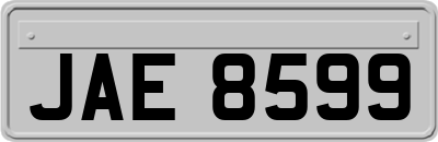 JAE8599