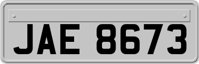 JAE8673