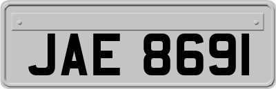 JAE8691