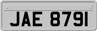 JAE8791