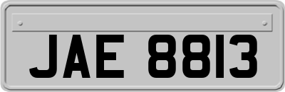 JAE8813