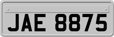 JAE8875