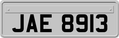JAE8913