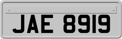 JAE8919