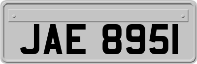 JAE8951