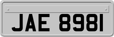 JAE8981