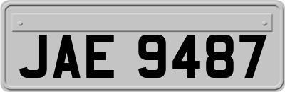 JAE9487