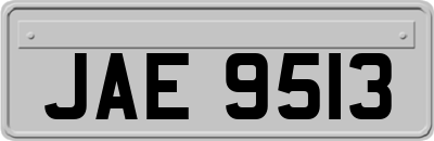JAE9513