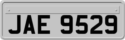 JAE9529